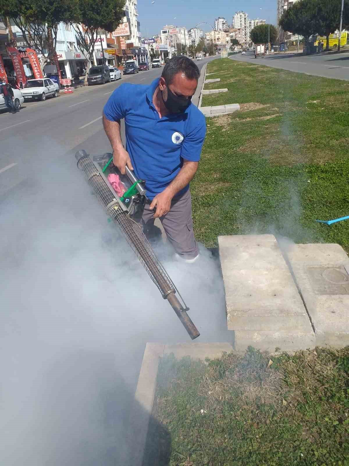 Sineksiz yaz için ilaçlama ordusu iş başında