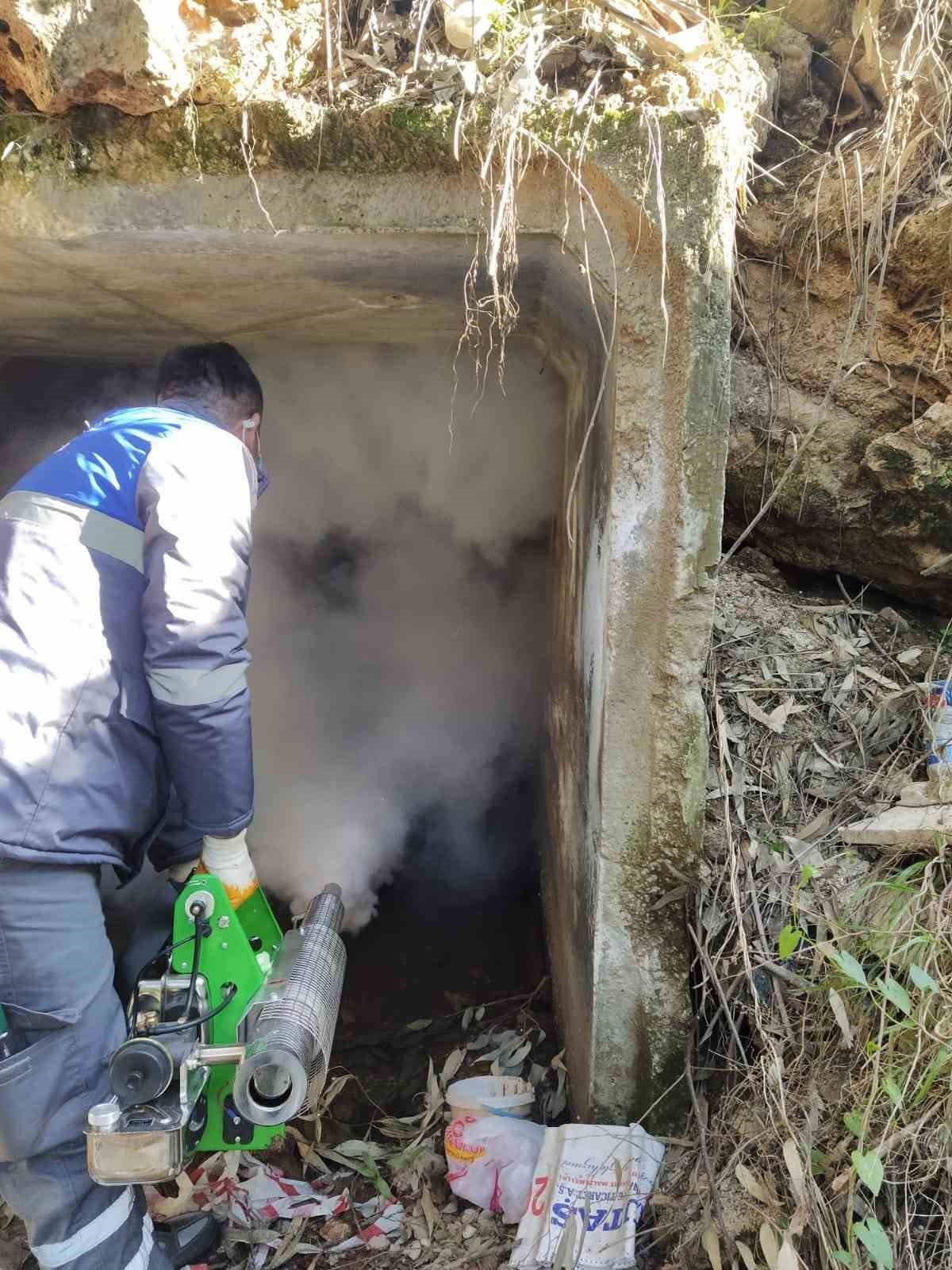 Sineksiz yaz için ilaçlama ordusu iş başında