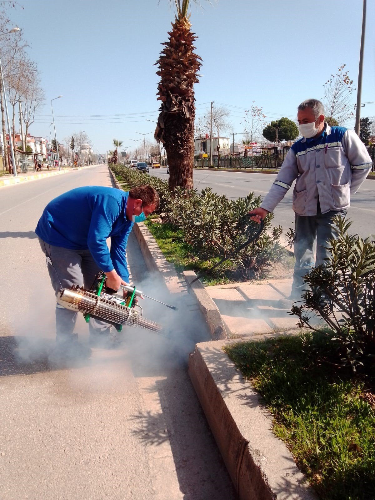 Sineksiz yaz için ilaçlama ordusu iş başında