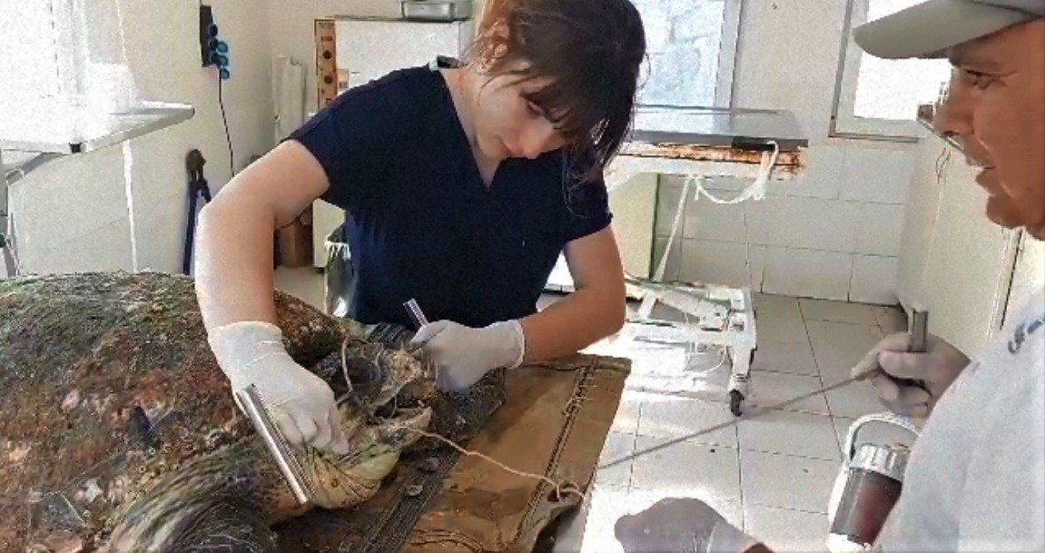 Vatandaşların dikkati deniz kaplumbağasını kurtardı