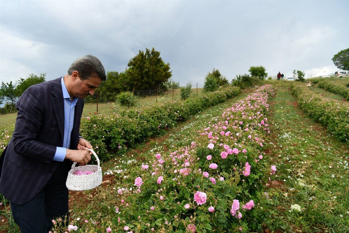 Sorkuncak köyünde 6. Gül Hasadı ve Uçurtma Şenliği