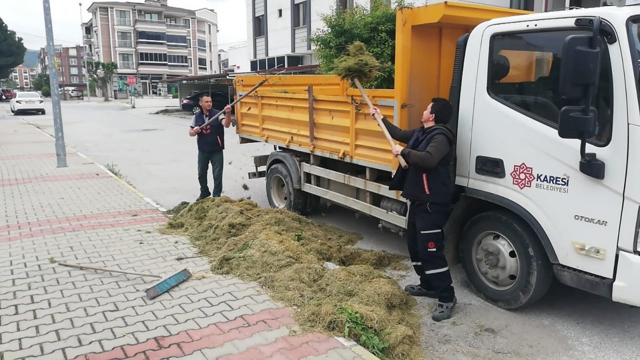 Karesi yaza hazırlanıyor