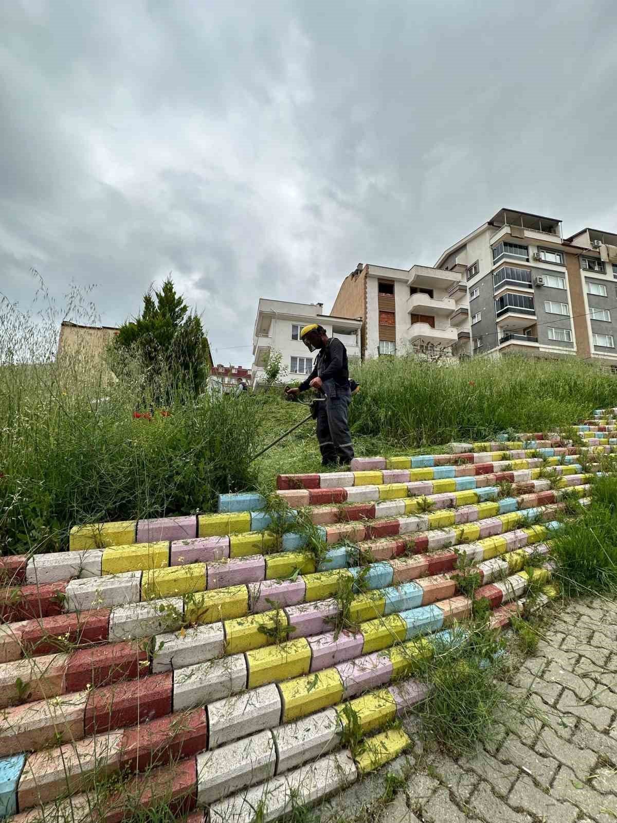 Karesi yaza hazırlanıyor