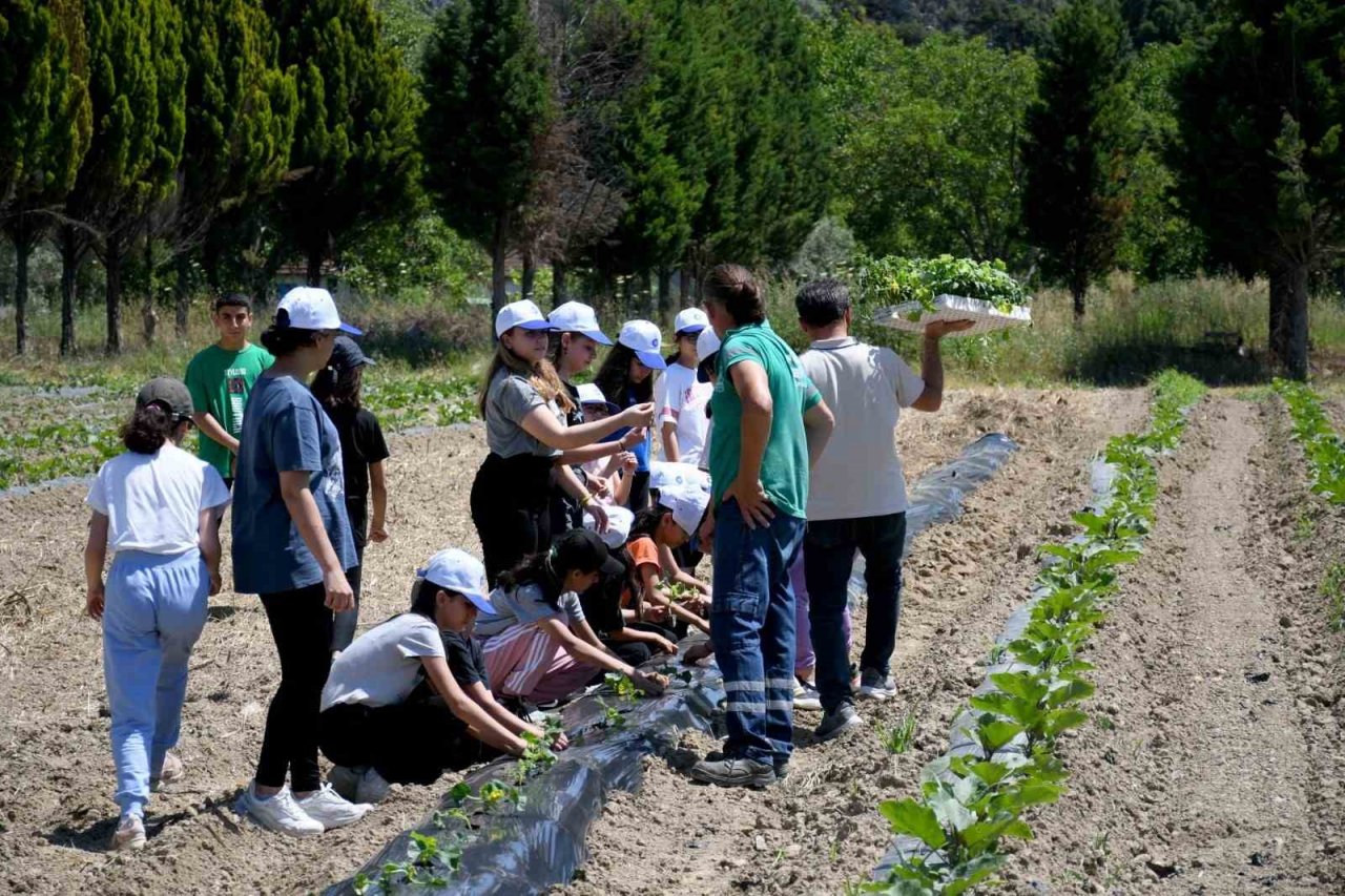 Minik eller yaz fidelerini Adabahçe’nin bereketli topraklarıyla buluşturdu