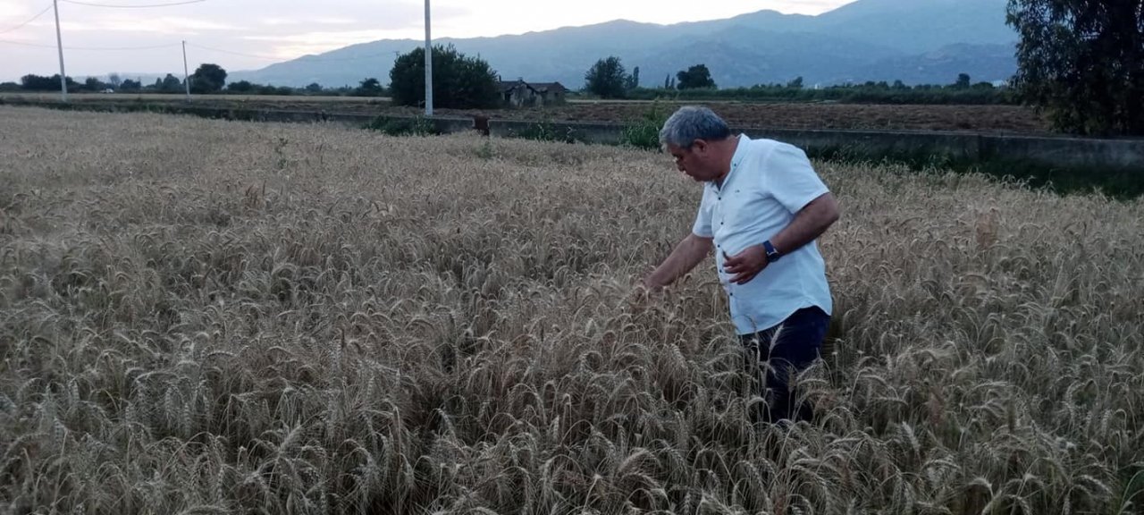 Posacı çok sevdiği tarlalardan kopamıyor