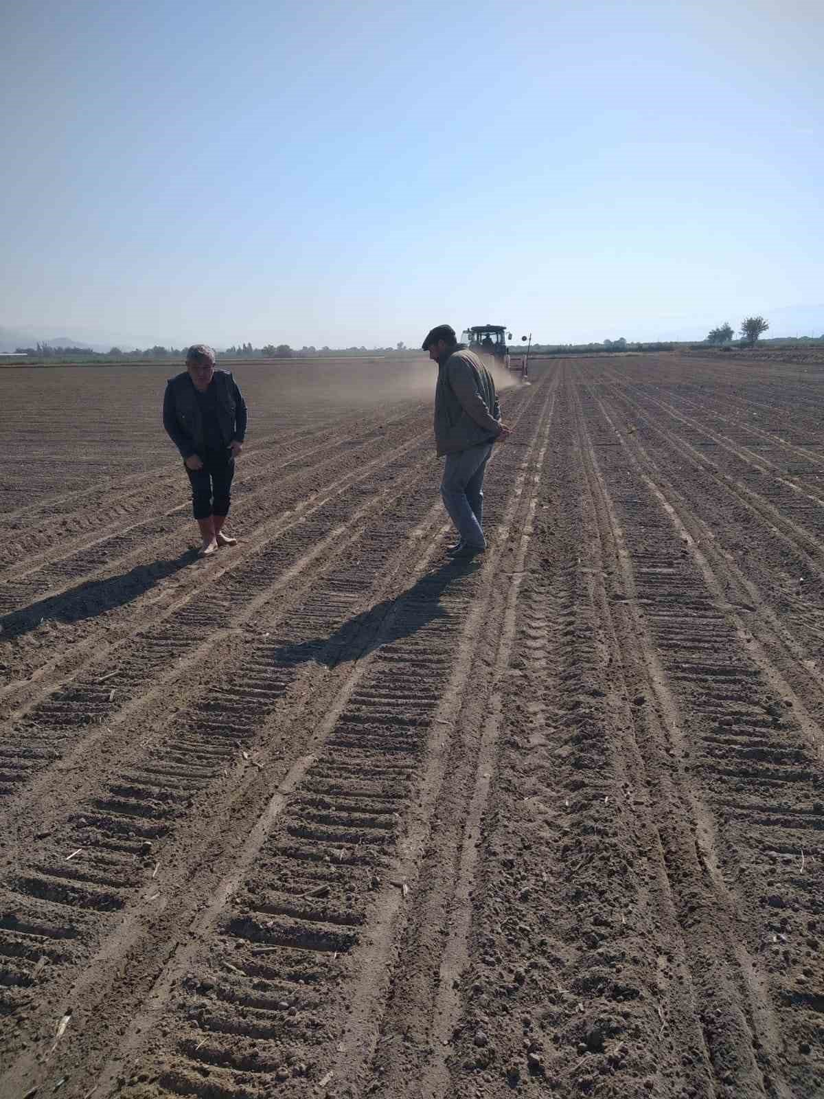 Posacı çok sevdiği tarlalardan kopamıyor