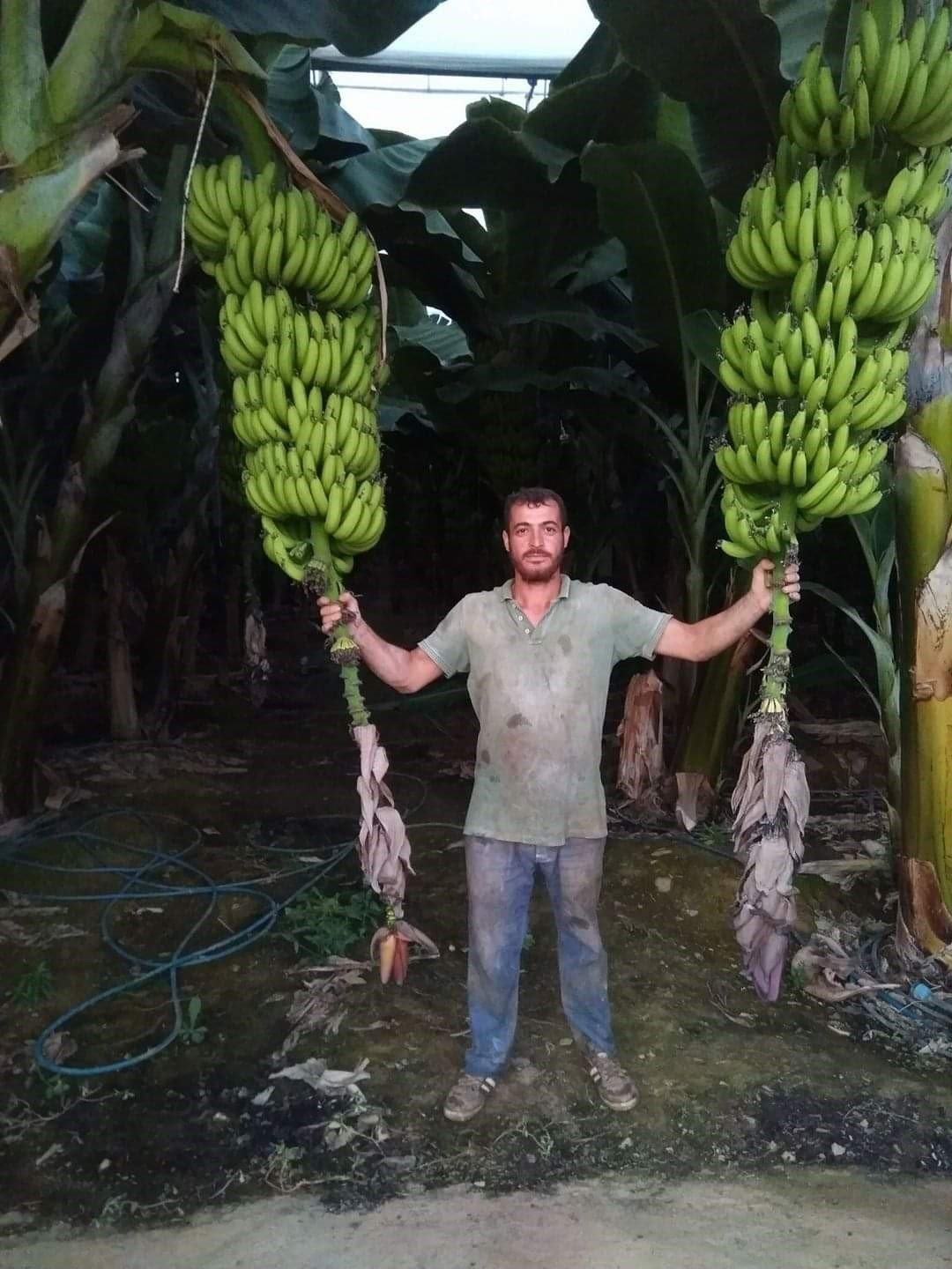 Kazada yaralanan 4 çocuk babası hastanede hayatını kaybetti