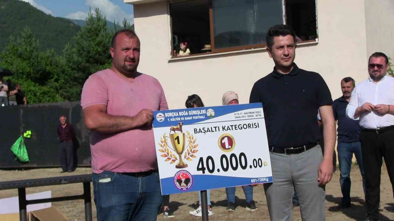 Artvin’de boğaların üstünlük mücadelesi nefes kesti