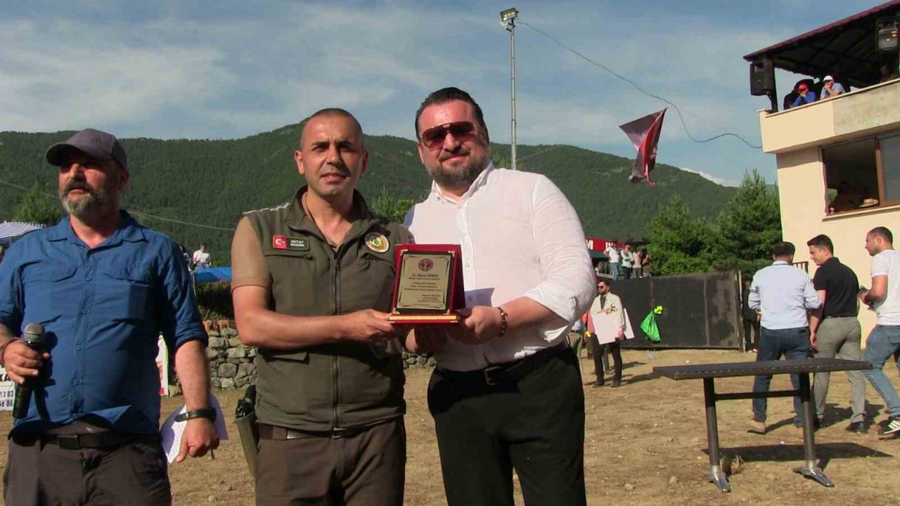 Artvin’de boğaların üstünlük mücadelesi nefes kesti