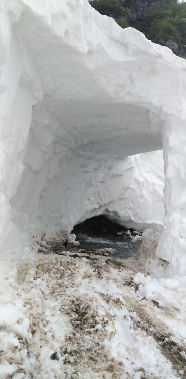Artvin’de yayla yolları kar tüneli kazılarak ulaşıma açıldı