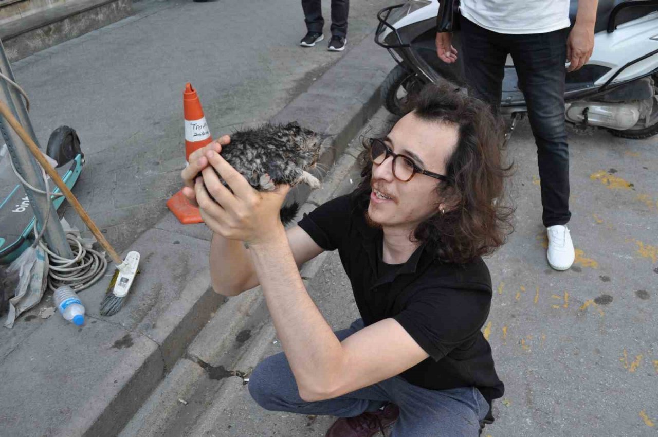 Aracın altına sıkışan yavru kedi itfaiye ekiplerince kurtarıldı