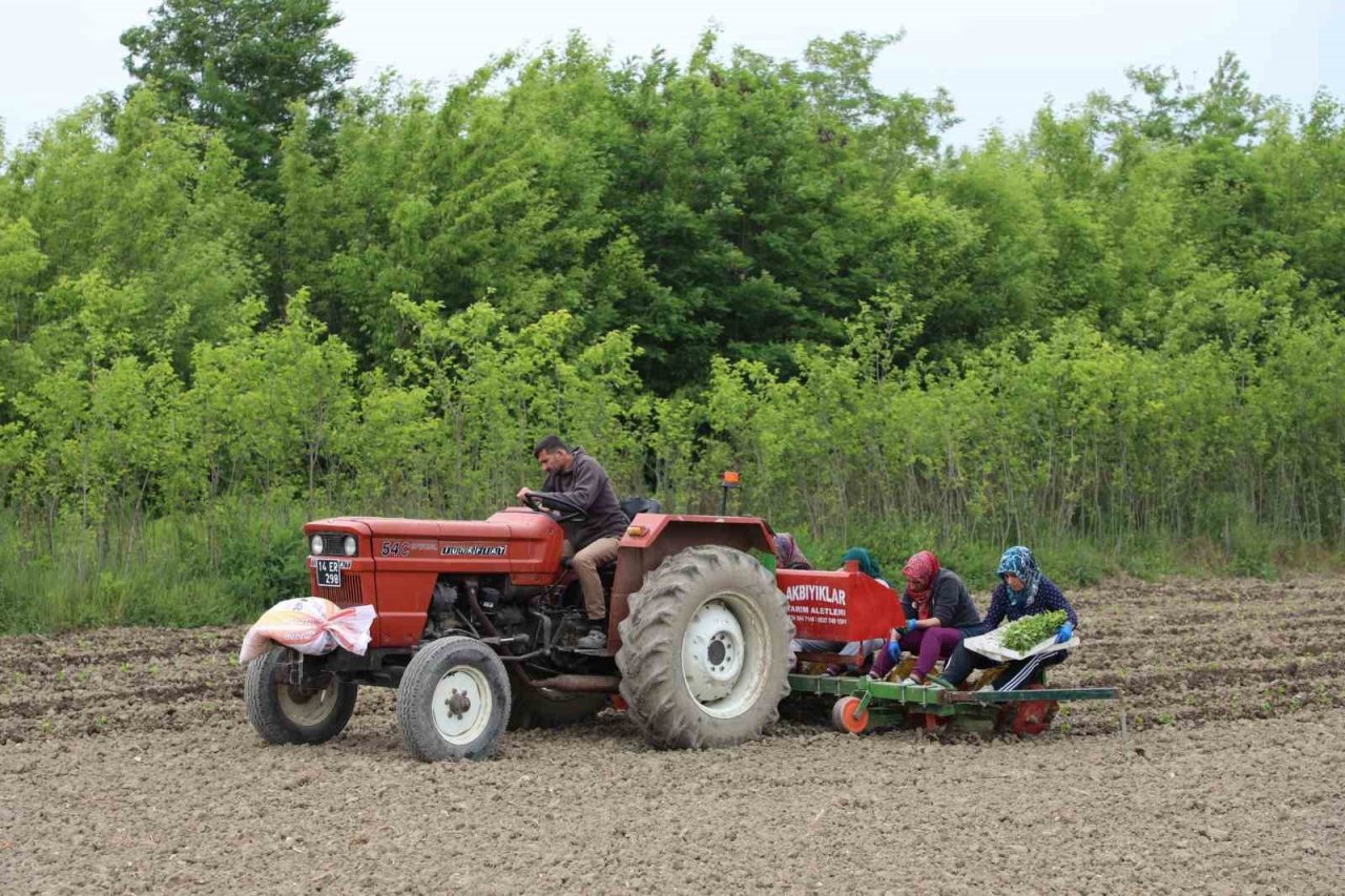 100 dönüm organik sertifikalı tarlada üretim başlattı