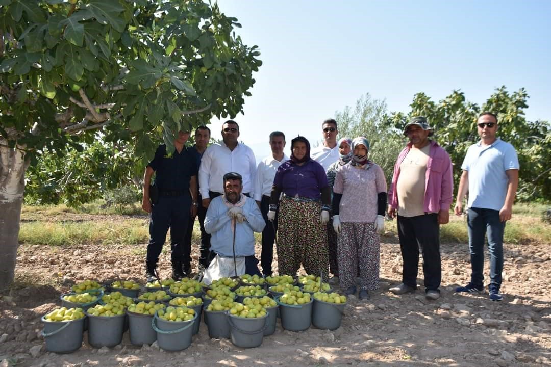 Buharkent tarımı atağa kalktı