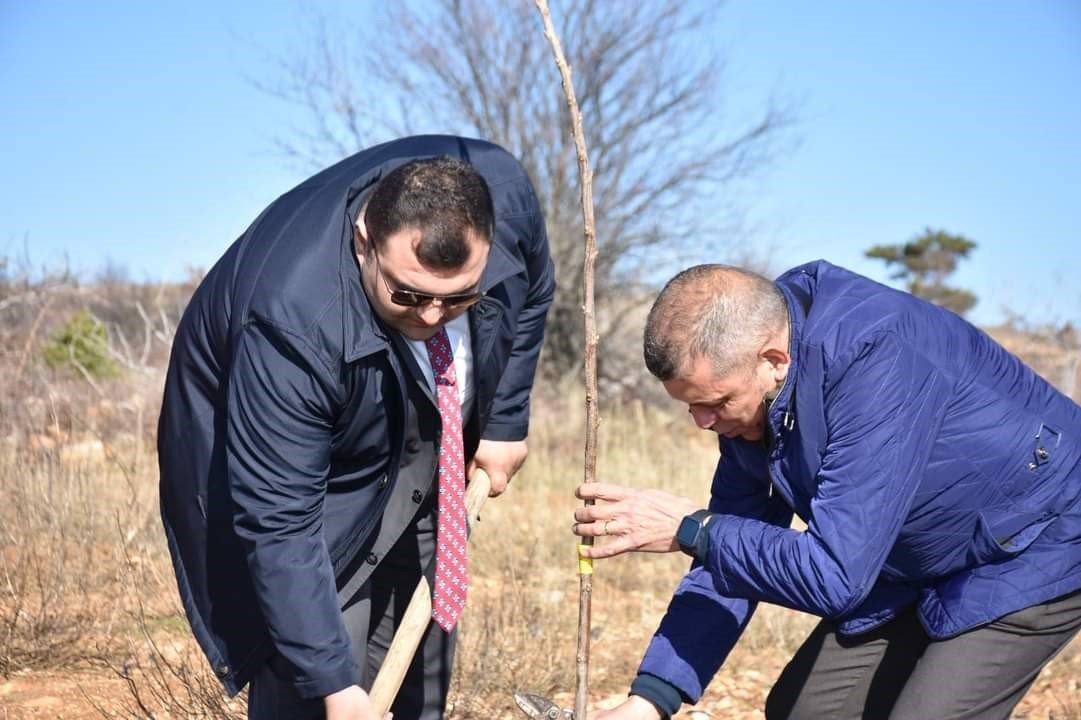 Buharkent tarımı atağa kalktı