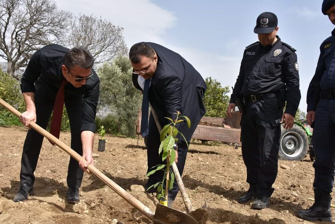 Buharkent tarımı atağa kalktı