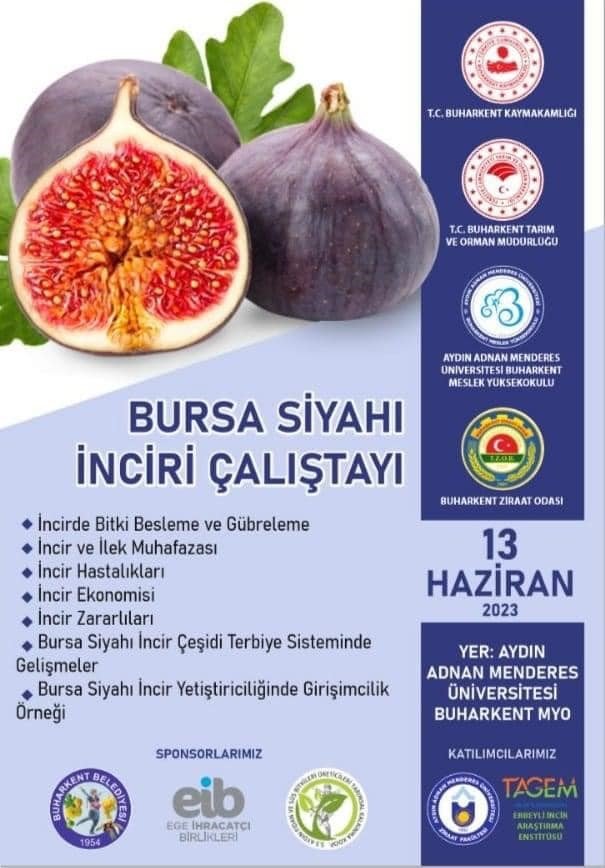 Buharkent tarımı atağa kalktı
