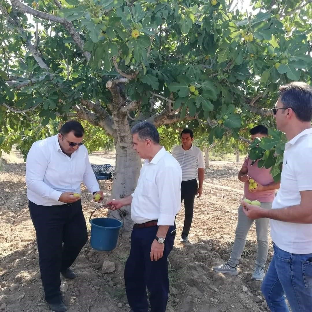 Buharkent tarımı atağa kalktı