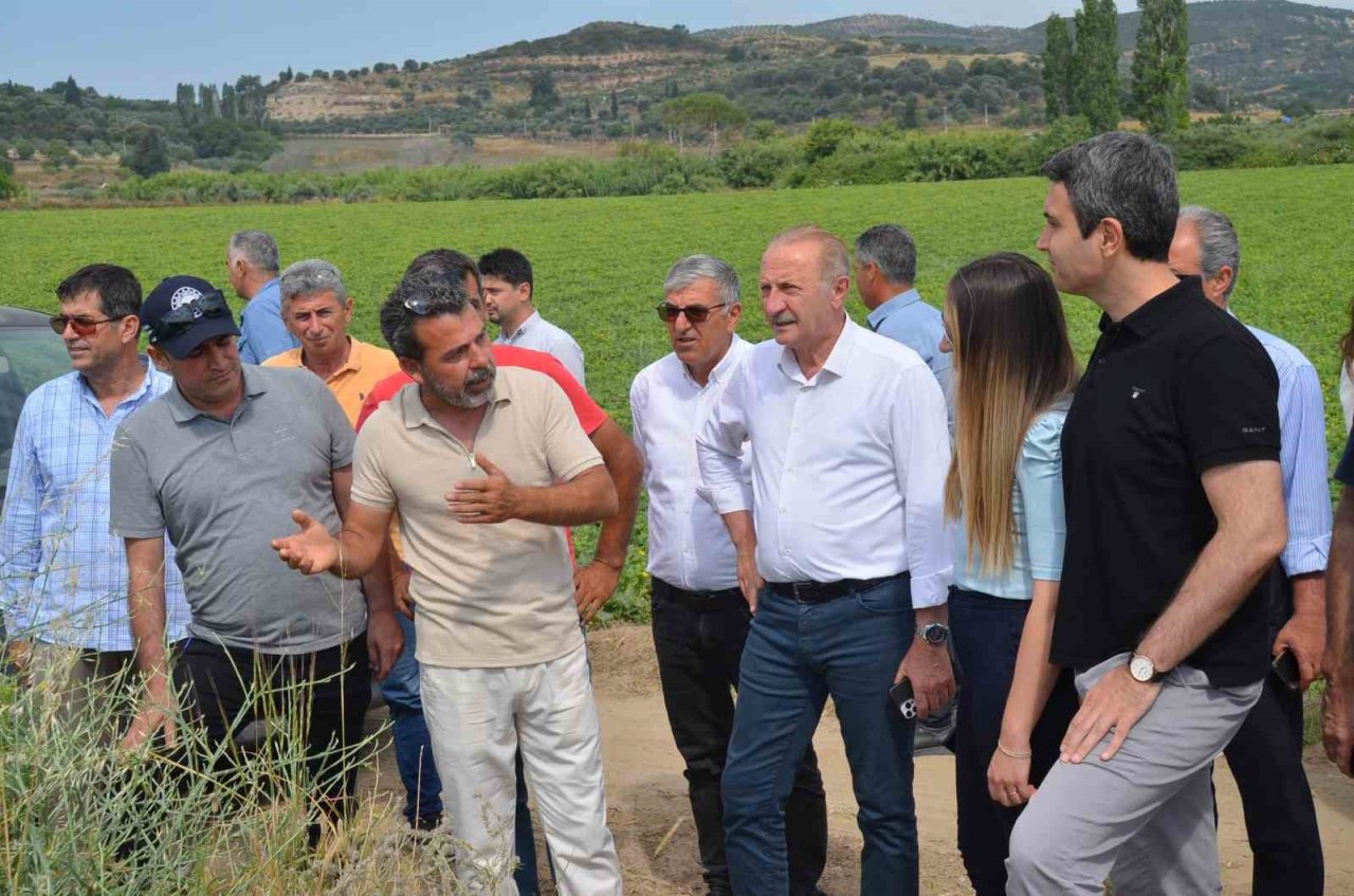 Didim’de erkenci karpuz hasadı yapıldı