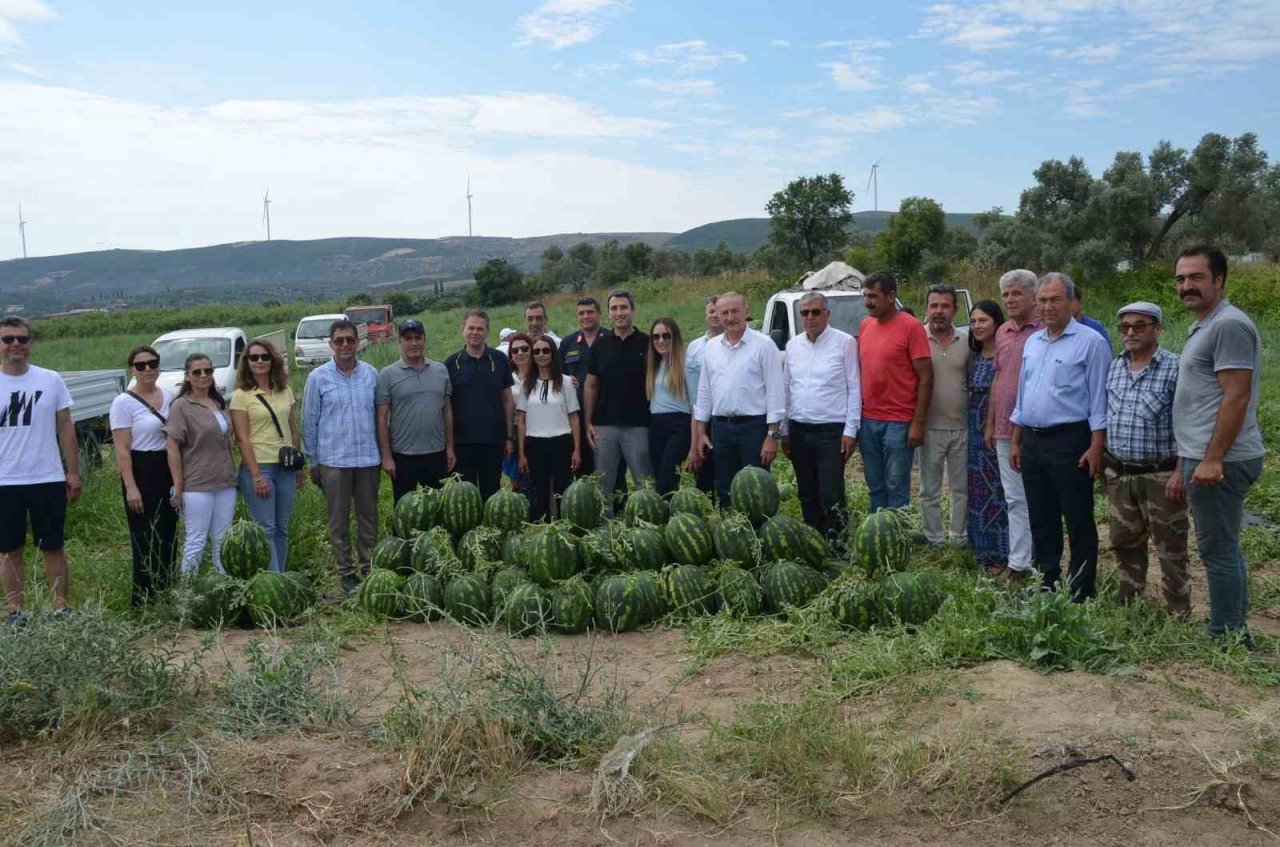 Didim’de erkenci karpuz hasadı yapıldı