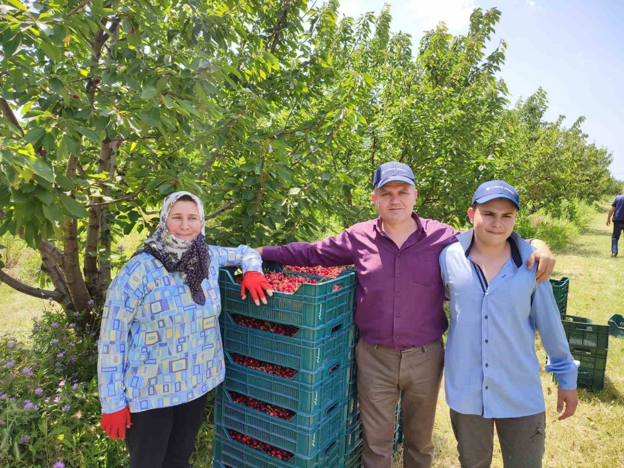 Enez’de üretilen kirazlar Avrupa’nın 5 ülkesine ihraç ediliyor