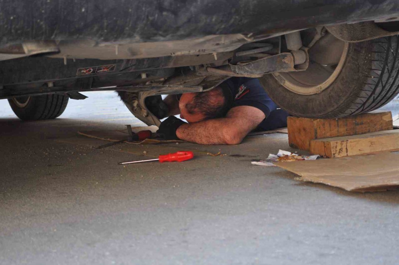 Aracın altına sıkışan yavru kedi itfaiye ekiplerince kurtarıldı