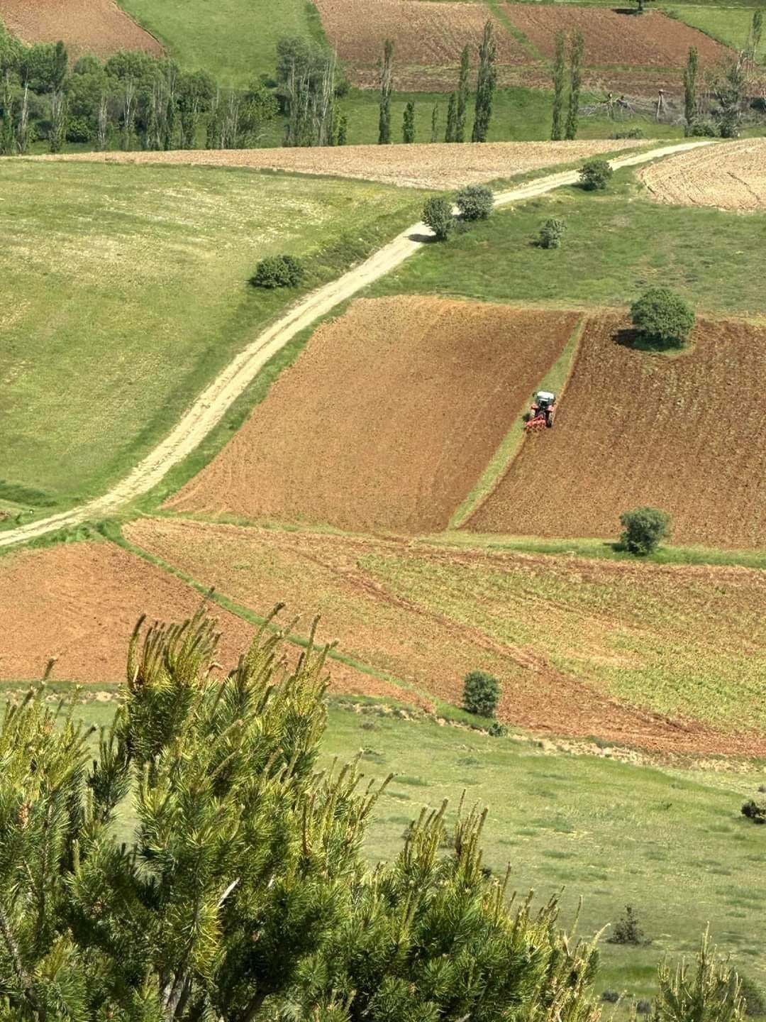 Çamoluk ilçesinde atıl araziler tarıma kazandırılıyor