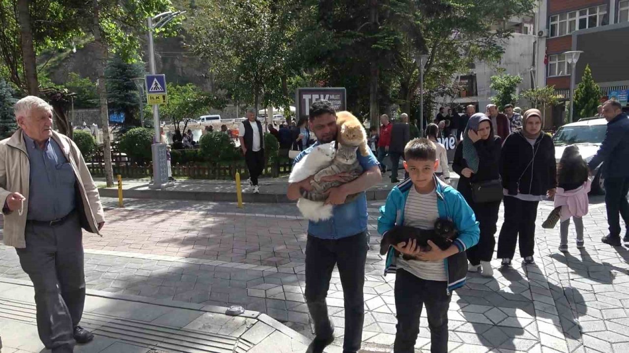 Pakistanlı bilgisayar mühendisi omuzunda ve kucağında gezintiye çıkardığı 4 kedisiyle ilgi çekiyor