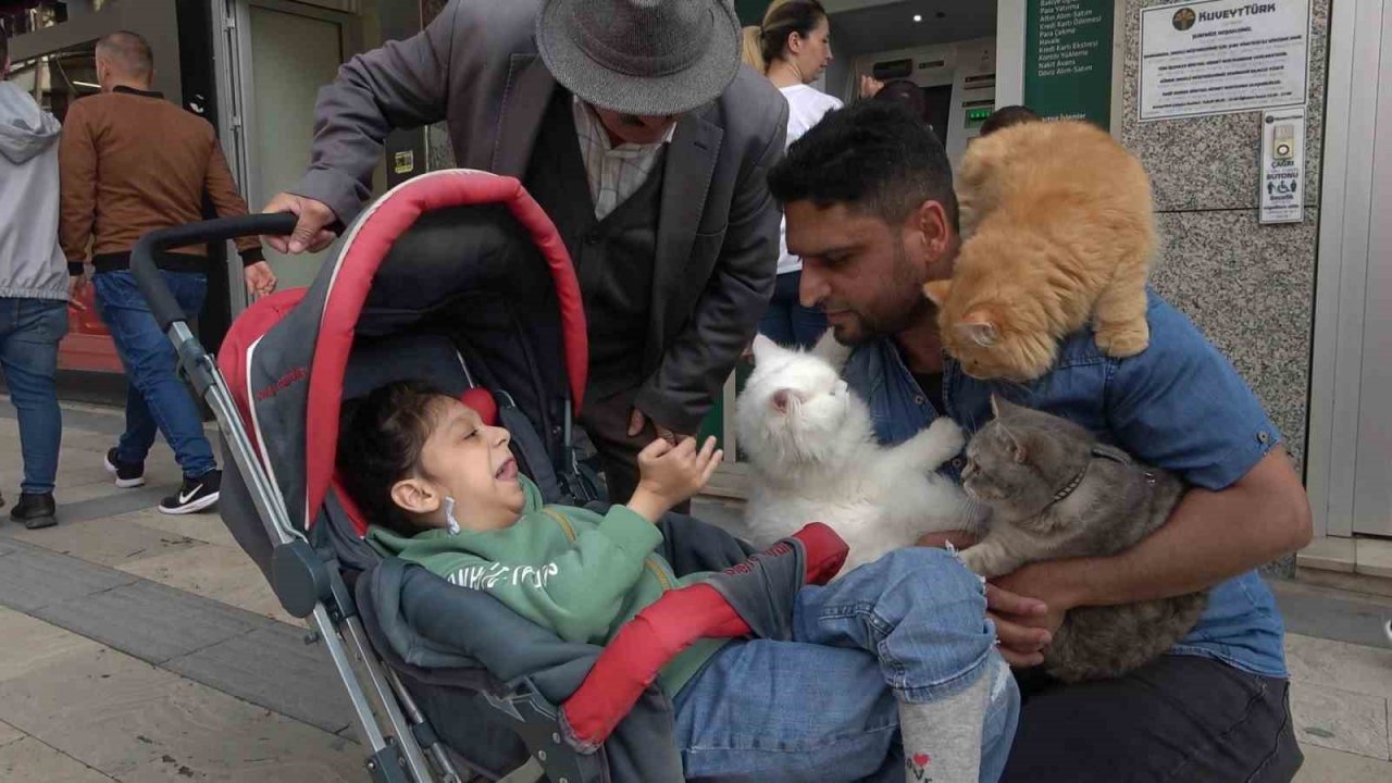 Pakistanlı bilgisayar mühendisi omuzunda ve kucağında gezintiye çıkardığı 4 kedisiyle ilgi çekiyor