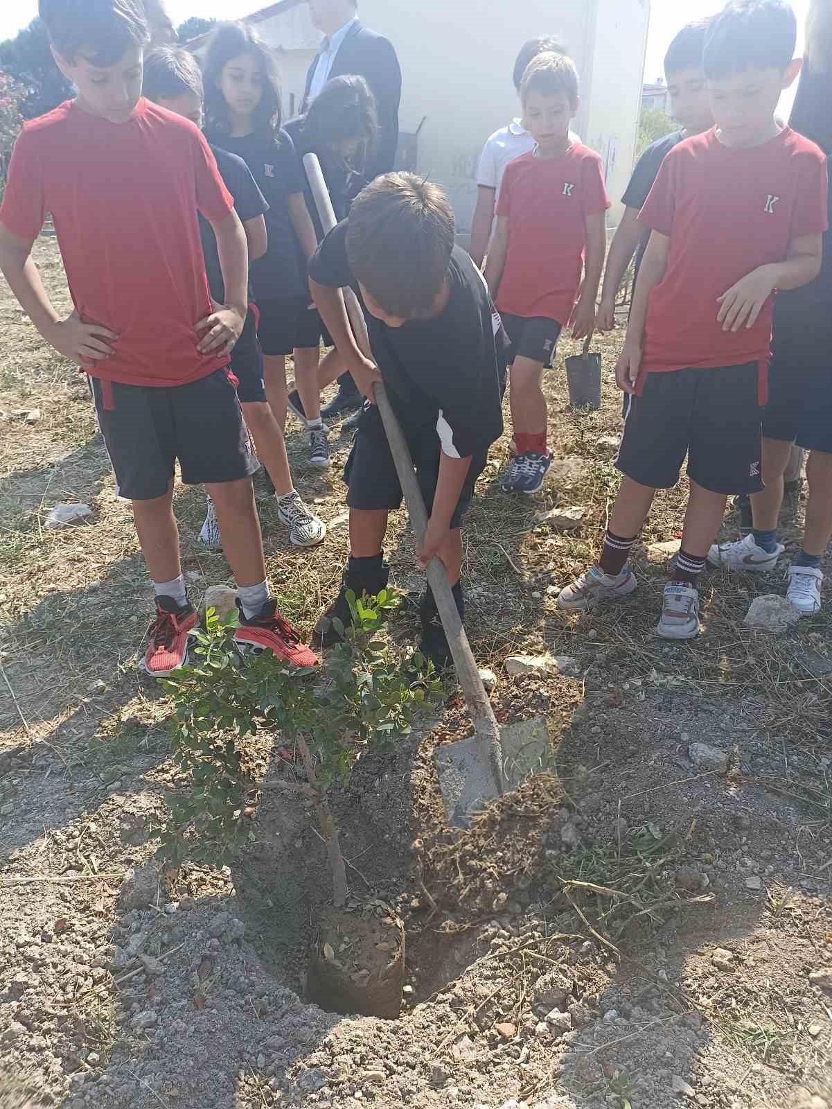 TED İzmir Koleji’nden "Sakız Ağacım Anavatanına Geri Dönüyor" projesine destek