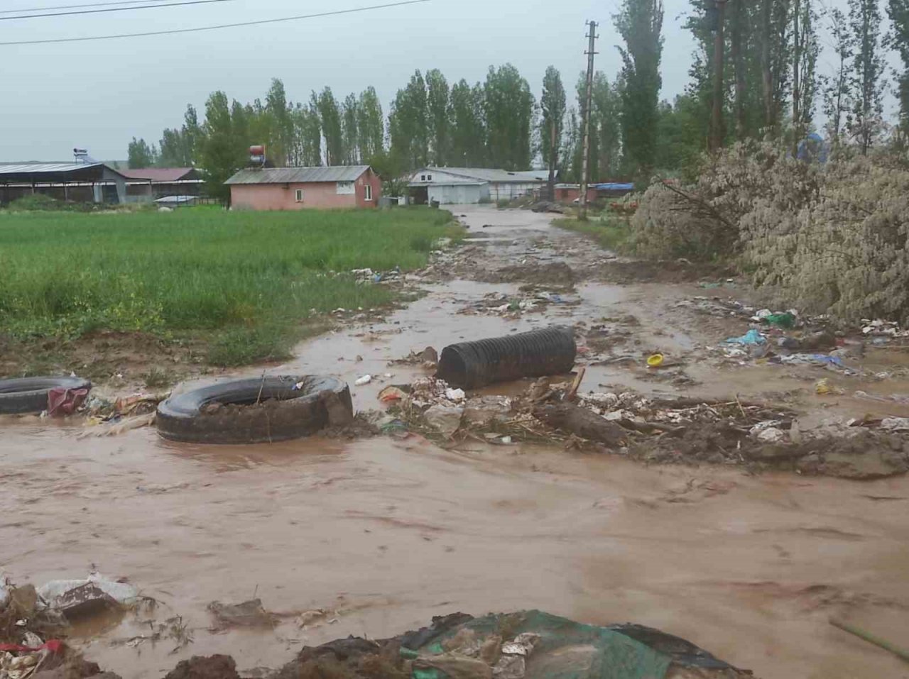 Kuvvetli yağış tarım arazilerinde hasara neden oldu