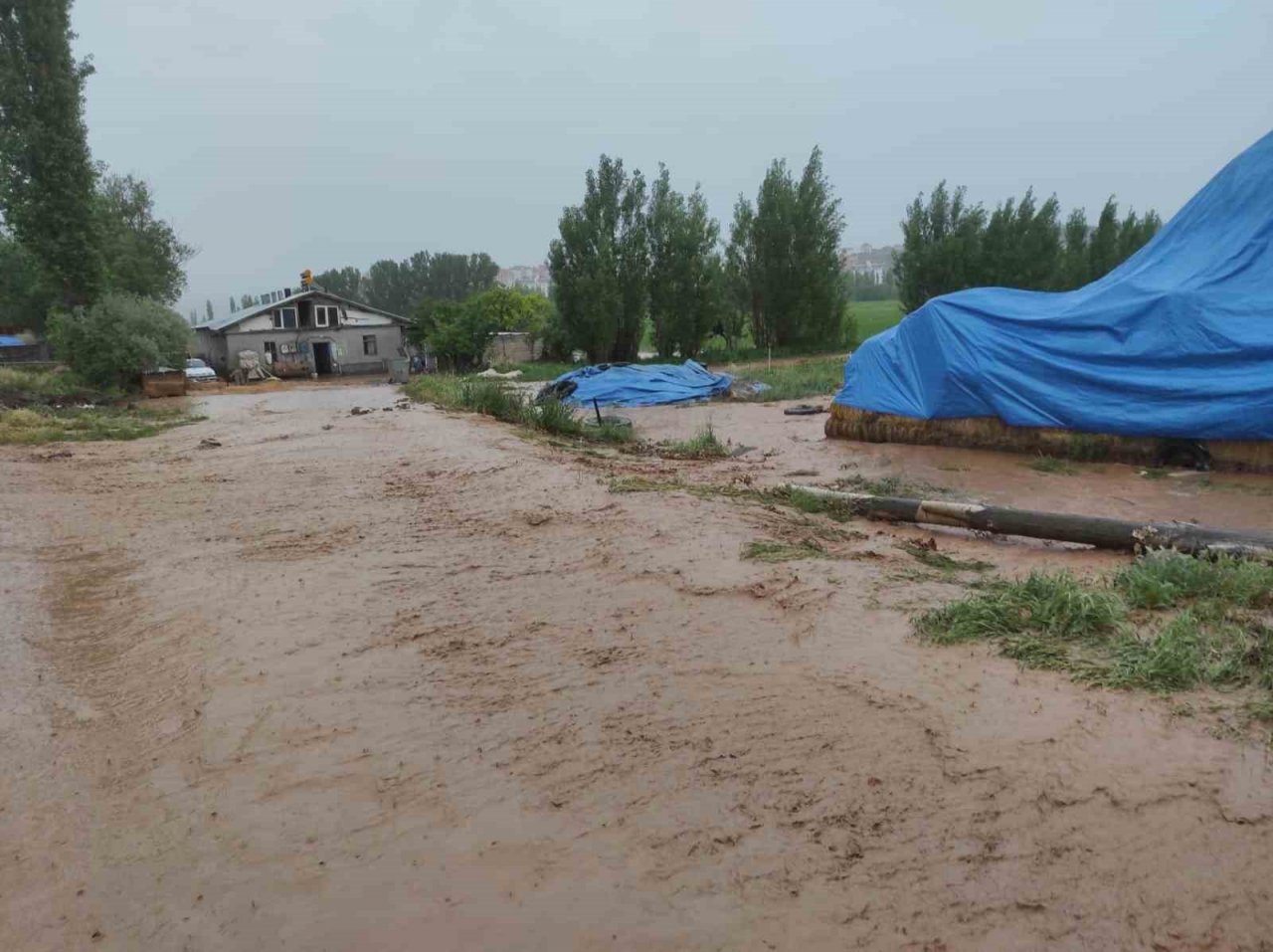 Kuvvetli yağış tarım arazilerinde hasara neden oldu