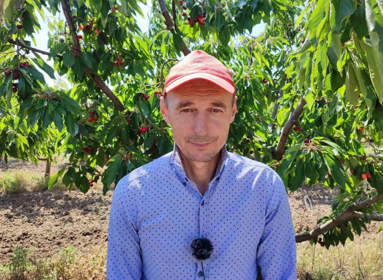 Enez’de üretilen kirazlar Avrupa’nın 5 ülkesine ihraç ediliyor