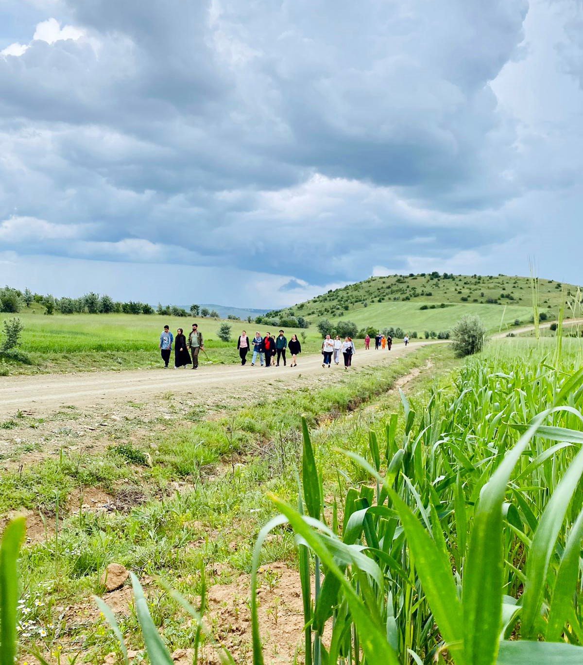 Doğa ile iç içe terapi