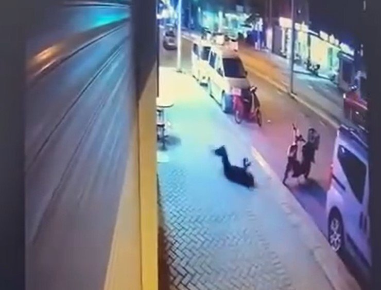 Zerin Kılınç’ın ölümüyle ilgili Şule Çet davasında görev alan uzmanlar inceleme yapacak