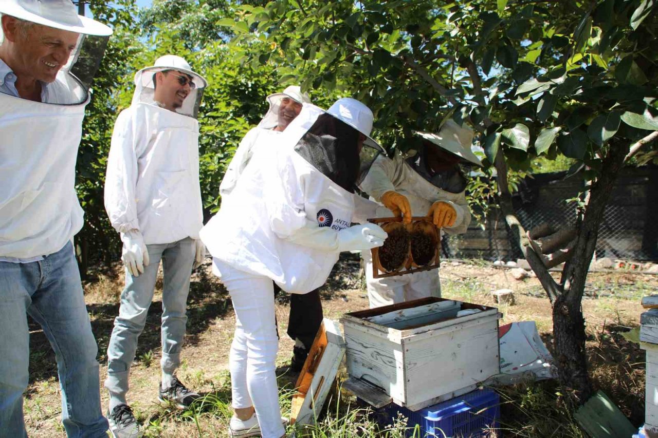 Büyükşehir kursiyerleri kovan başında arıcılık eğitimi aldı