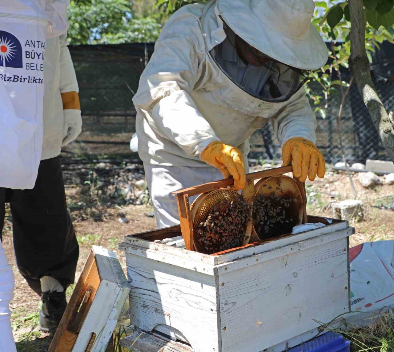 Büyükşehir kursiyerleri kovan başında arıcılık eğitimi aldı