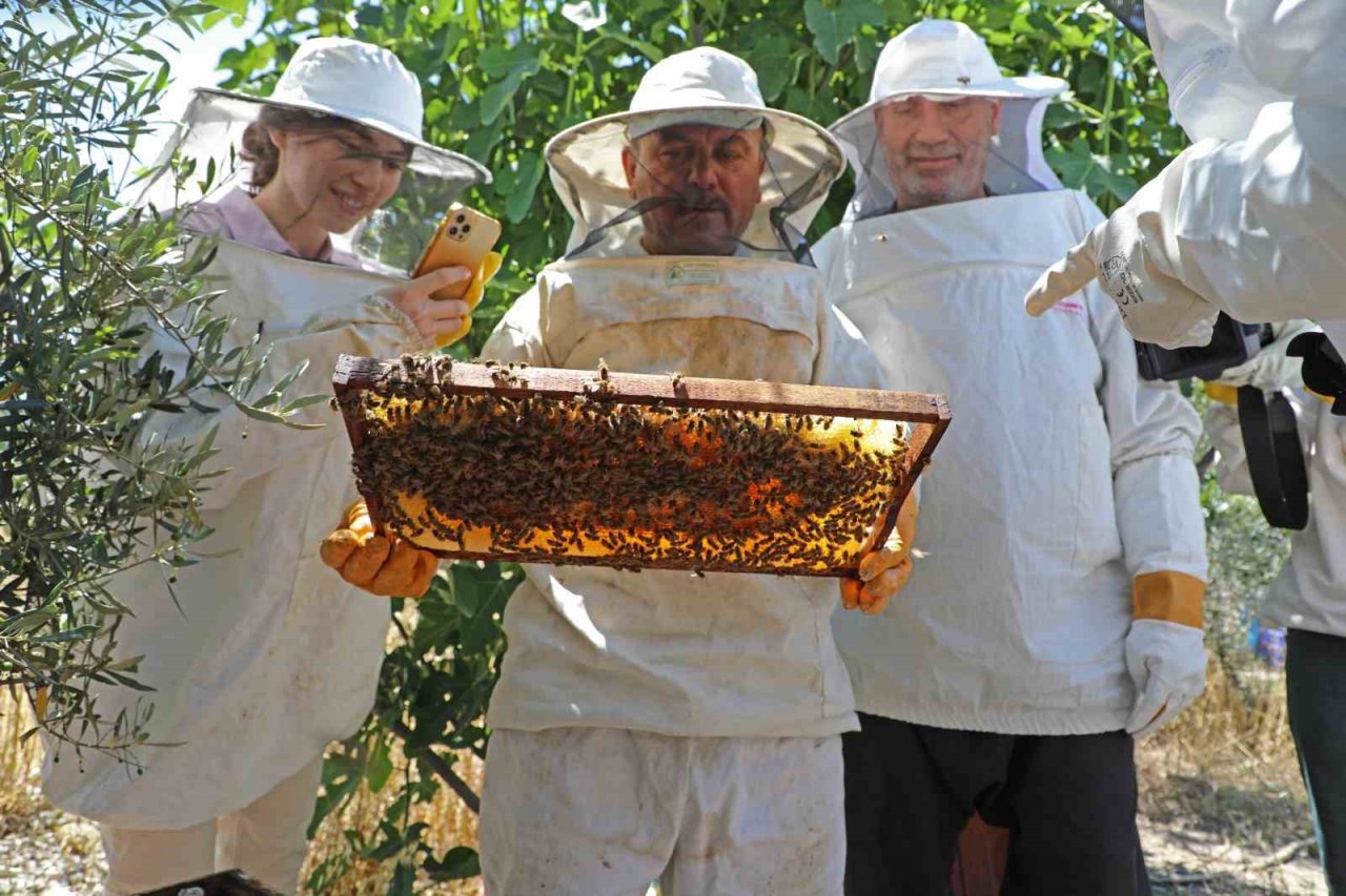 Büyükşehir kursiyerleri kovan başında arıcılık eğitimi aldı