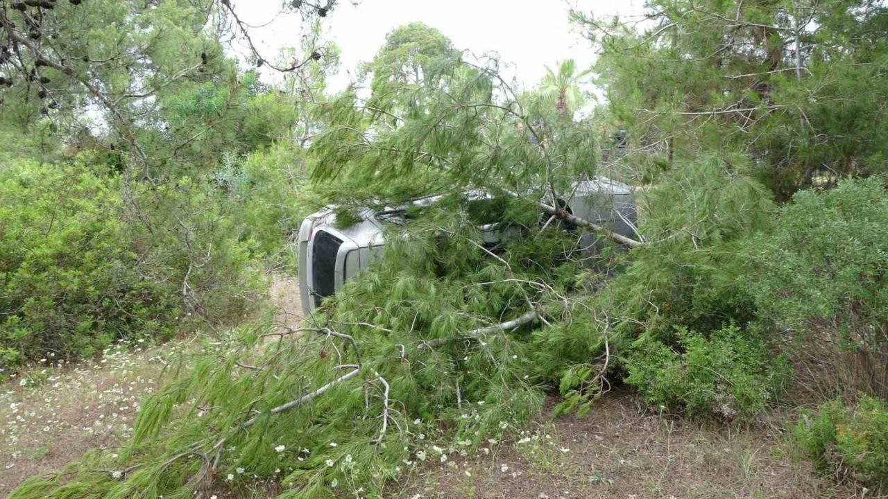 Kontrolden çıkan otomobil ormanlık alana uçtu: 2 yaralı