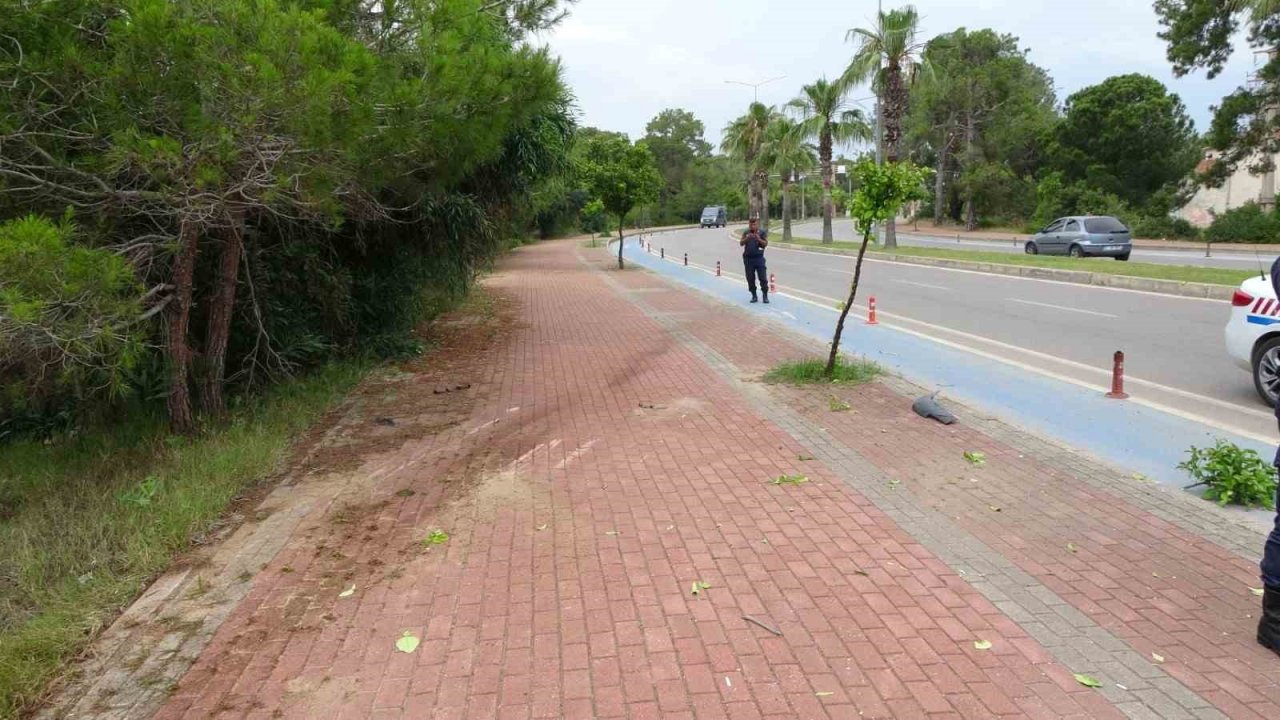 Kontrolden çıkan otomobil ormanlık alana uçtu: 2 yaralı