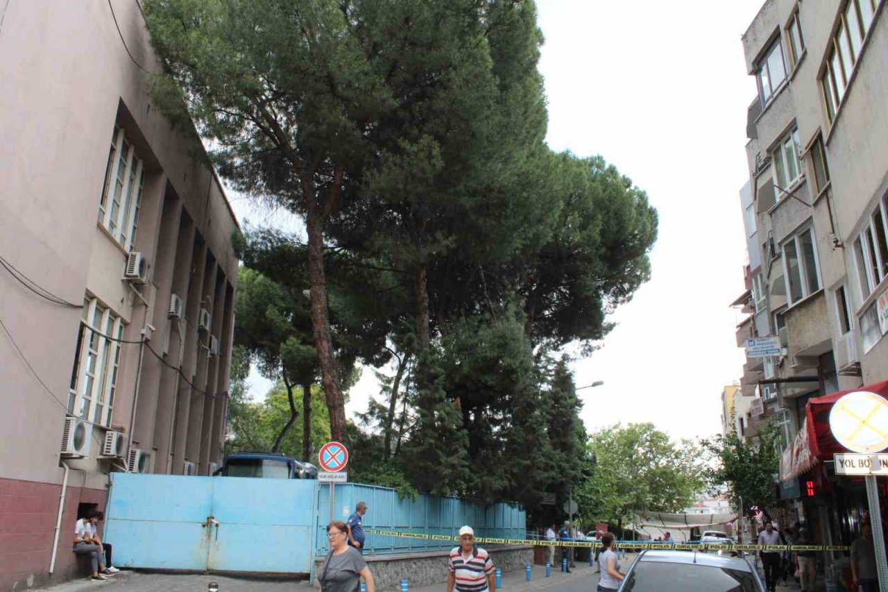 Rüzgarla kopan ağaç dalı ekipleri harekete geçirdi