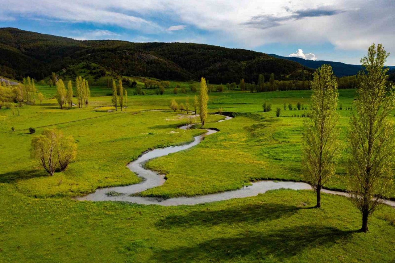 Yozgat yağışlarla birlikte yeşile büründü