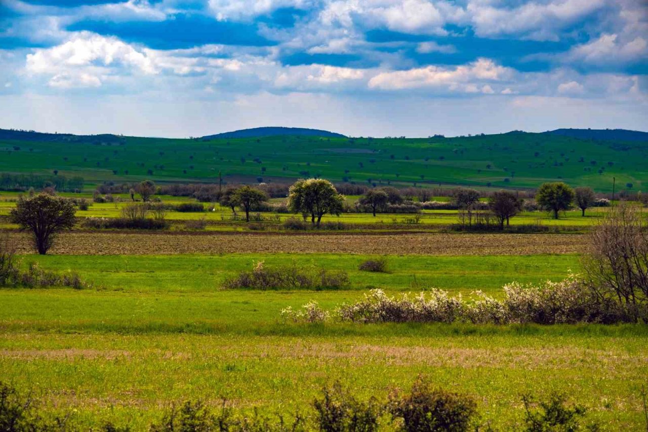 Yozgat yağışlarla birlikte yeşile büründü