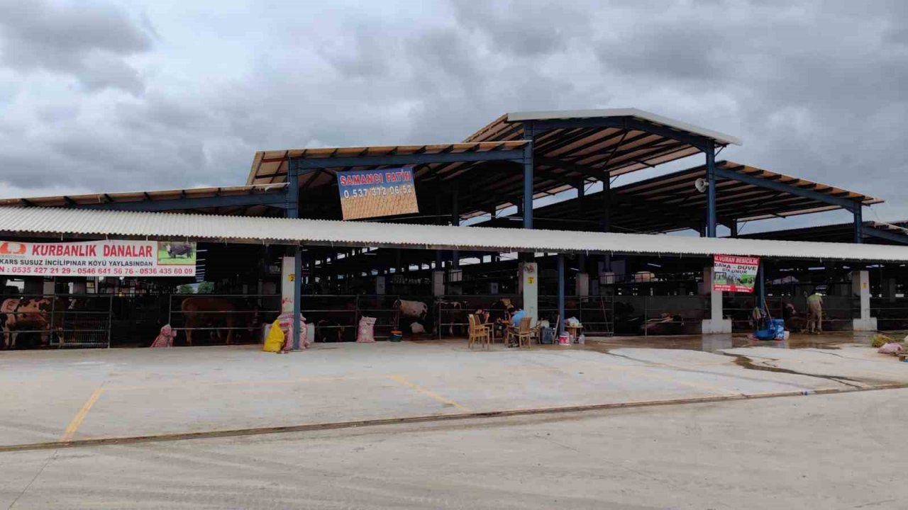 İnegöl Hayvan Pazarı’nda şap karantinası.. Giriş-çıkışlar yasaklandı