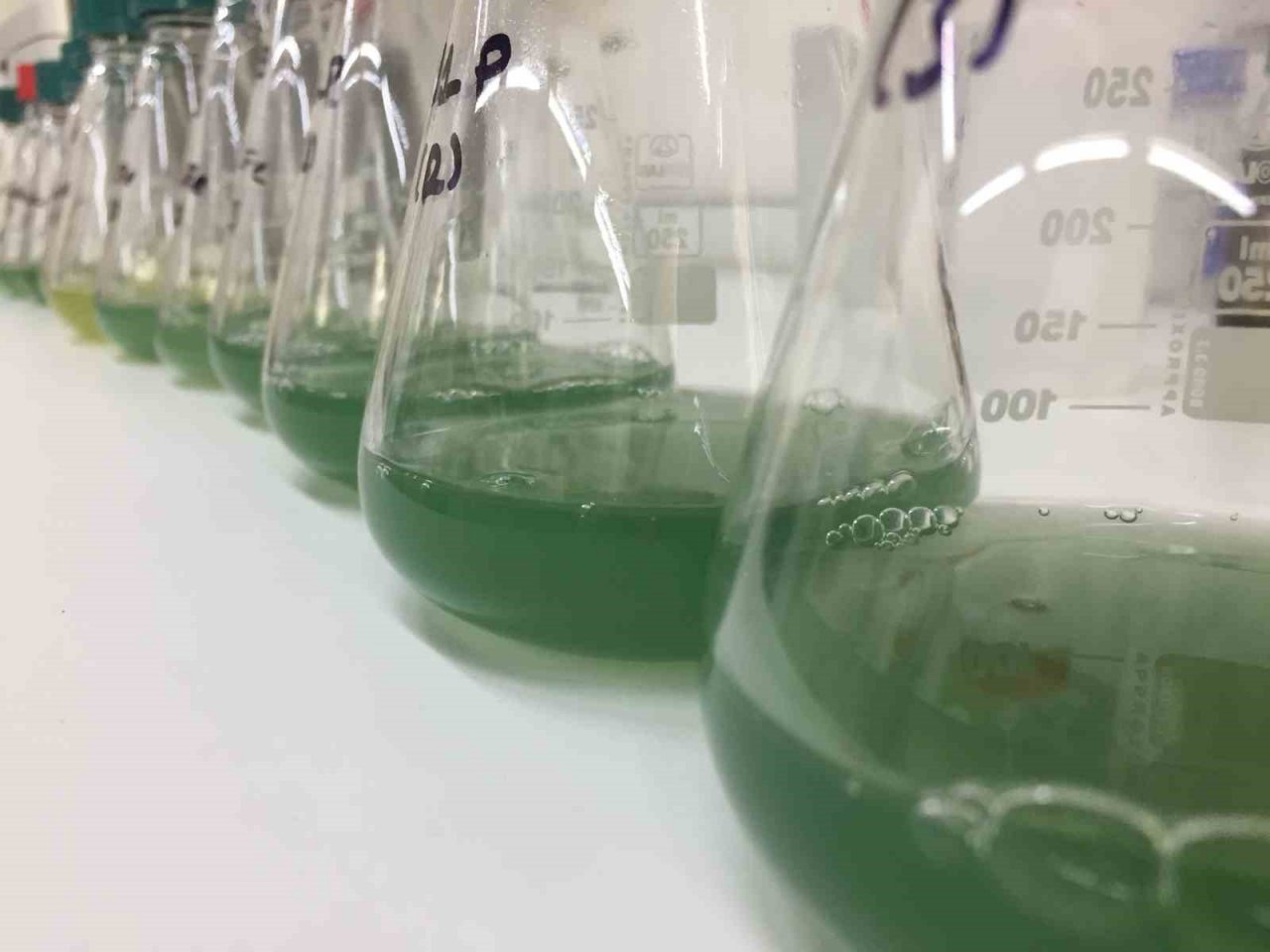 BTÜ’lü araştırmacılar o hastalığa çare oluyor