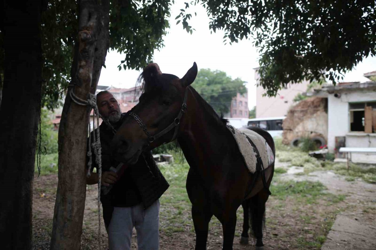 "Uludağ" isimli tay annesinin karnındayken satıldı