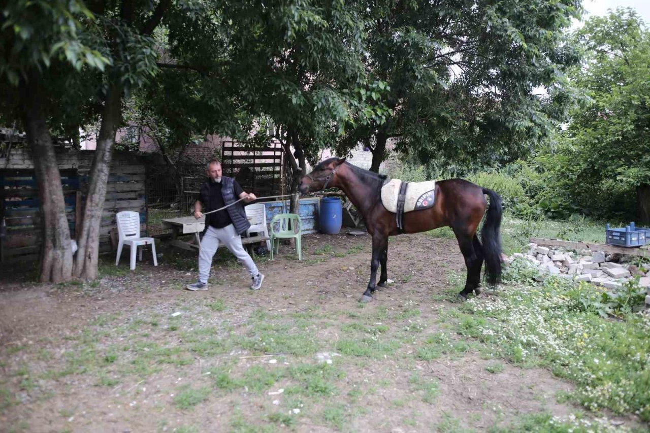 "Uludağ" isimli tay annesinin karnındayken satıldı