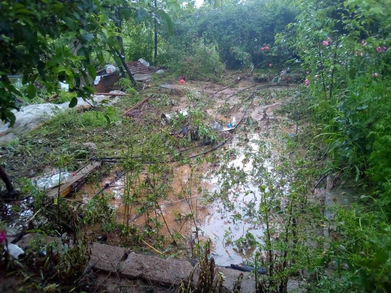 Sel Çameli’nin iki mahallesini vurdu