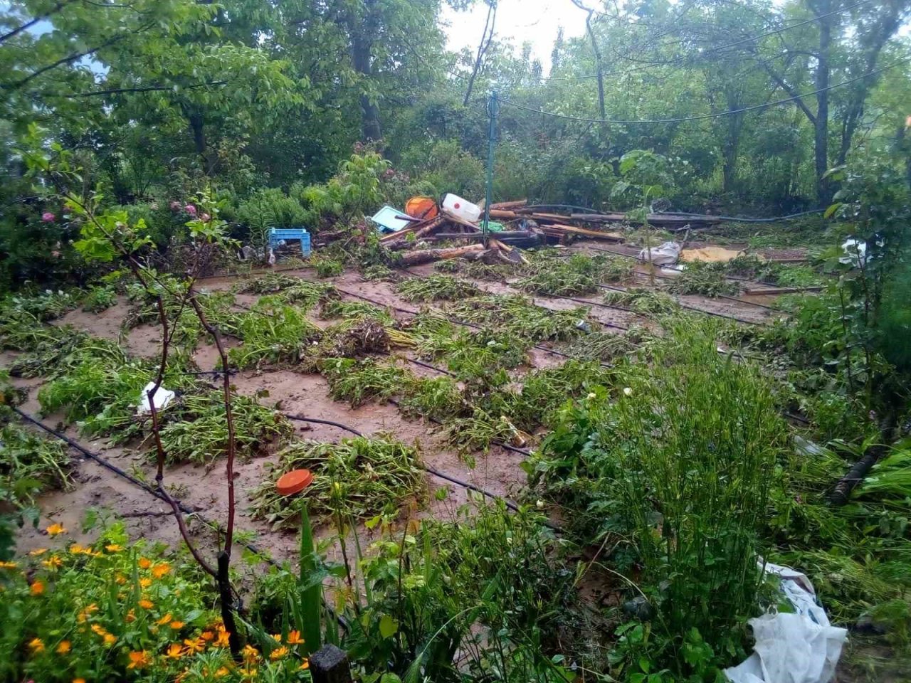 Sel Çameli’nin iki mahallesini vurdu