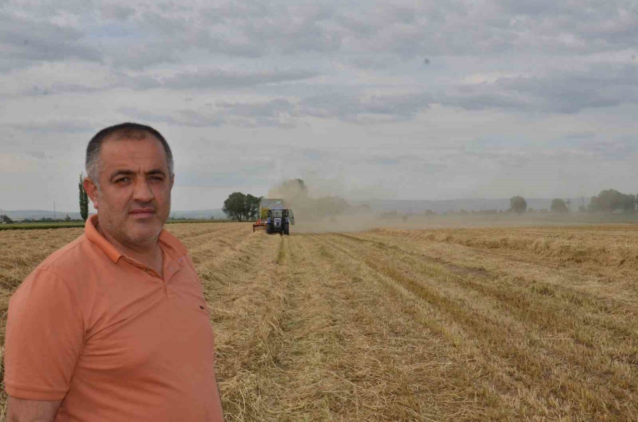 Depremzede çiftçilerin devlet desteği ile ektikleri yem bitkisi hasadı başladı