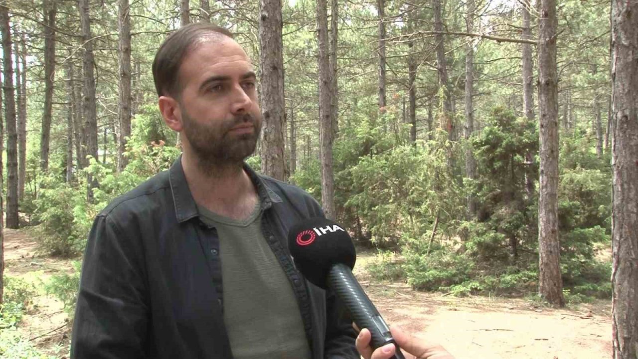 Yunanistan’da bakılan kara akbaba Eskişehir’e göçtü